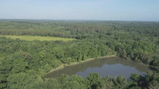 Orange has previously funded nature restoration schemes in Spain, Senegal and France (pictured). Image: Alliance Forêts Bois